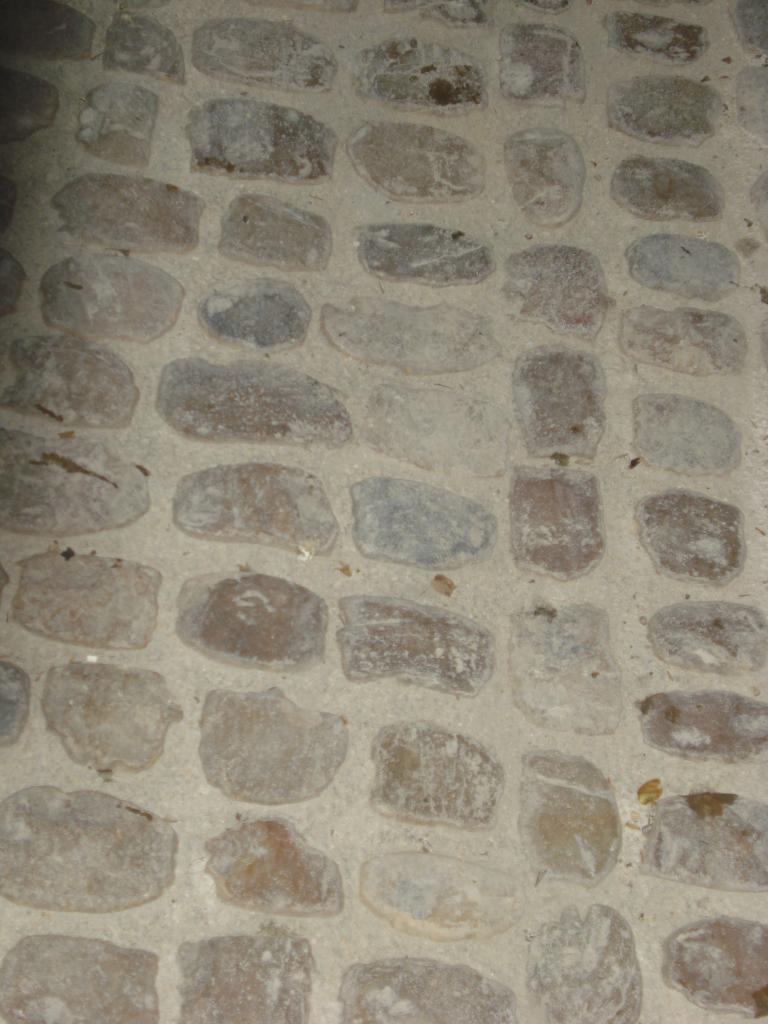 DSC05144