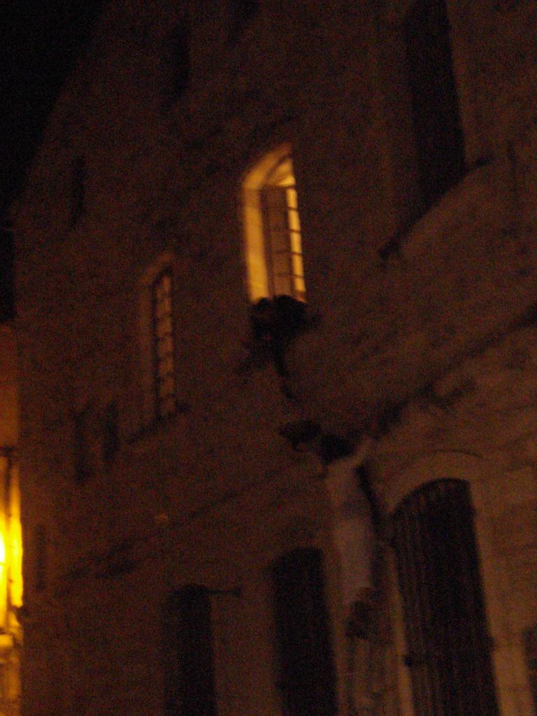 DSC05163