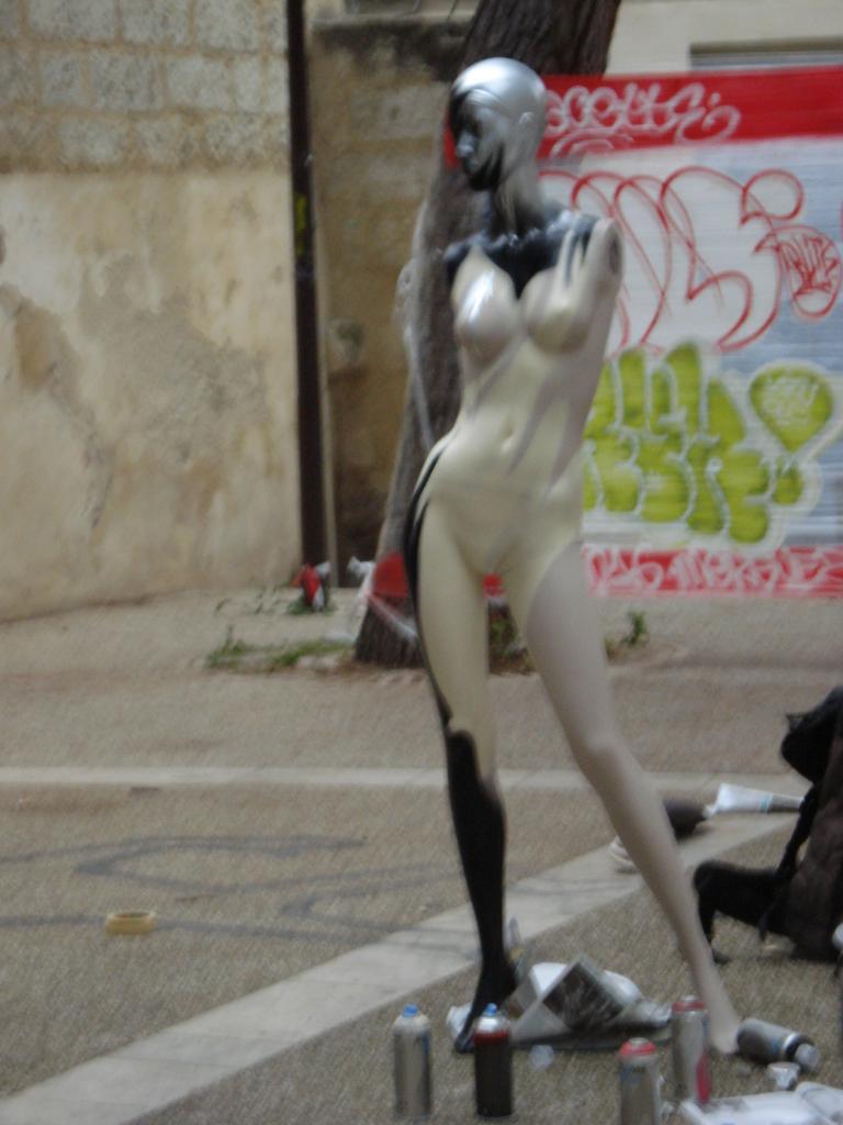 DSC06835